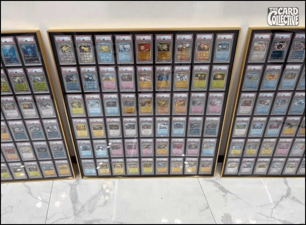 Trading Card Collecting for Beginners: How to Start, Organise, Protect & Display Your Collection - The Card Collective