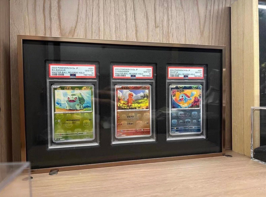 Best Pokémon Cards to Display: Popular Cards, Pokémon, Sets, Rarities & Collection Ideas - The Card Collective